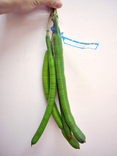 ゴールデンシャワー