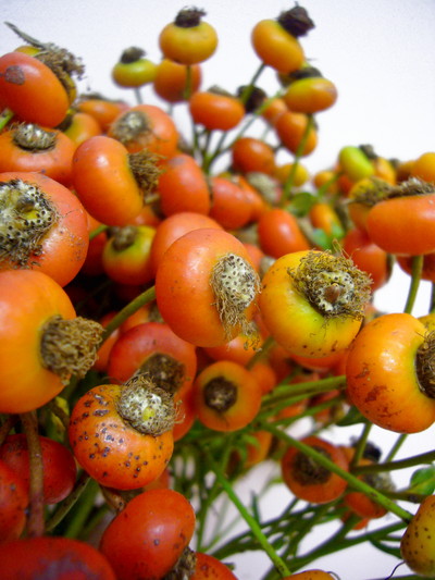 センセーショナルファンタジー