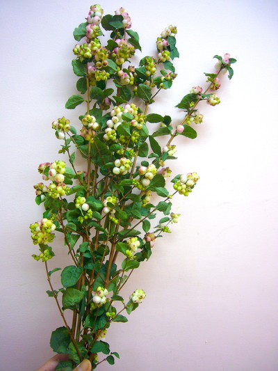 チャーミングファンタジー