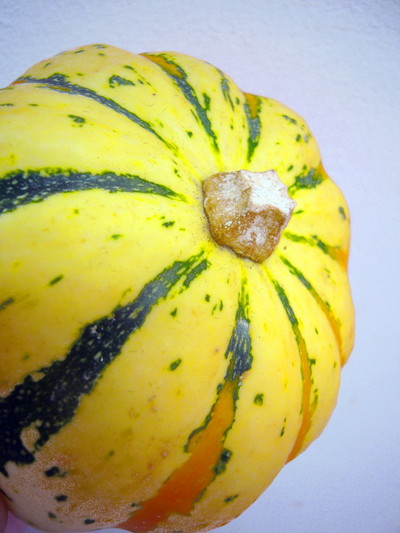 セレブレーション