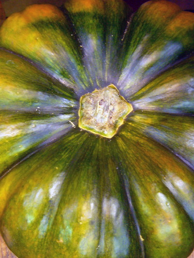 マスキードプロバンス