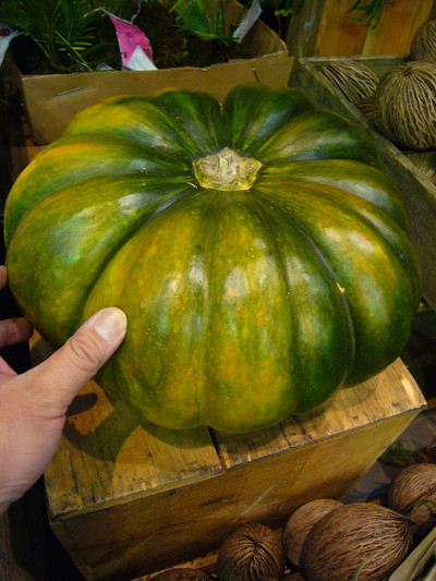 マスキードプロバンス