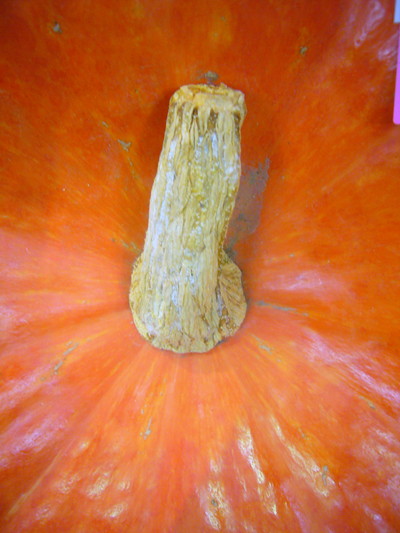 ルージュヴィデタンプ