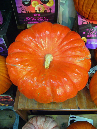 ルージュヴィデタンプ