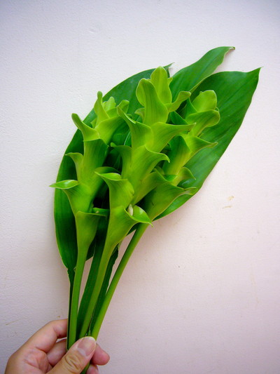 エメラルドパゴダ