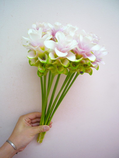 チェリーPRデーン