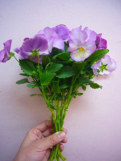 ニジイロスイートラブ