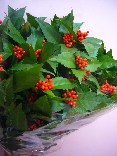 千両鎌１遠藤小佐ェ門