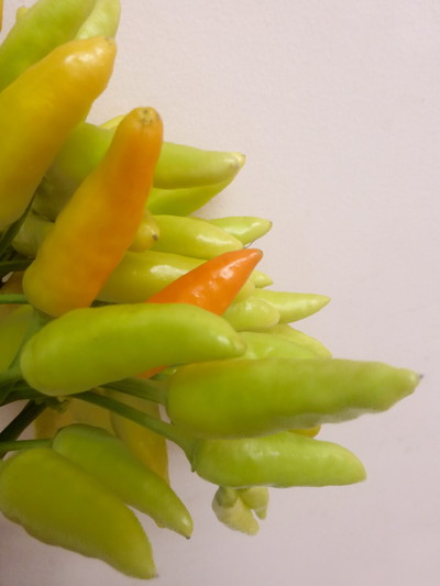 C.トップフルーツ