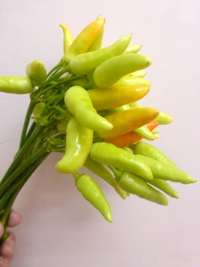 C.トップフルーツ