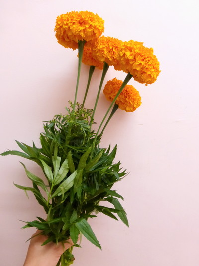 アルトオレンジ