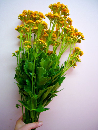 ウォームイエロー