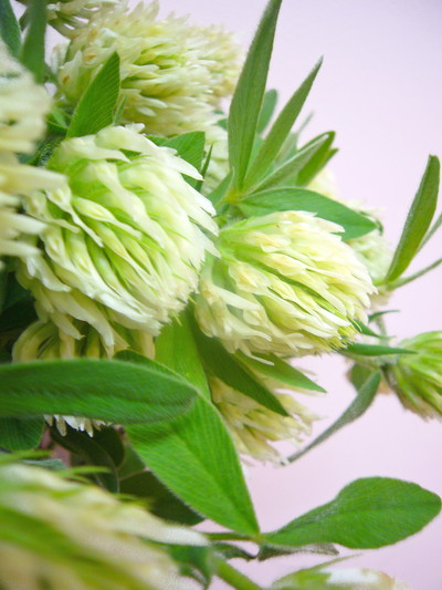 クリスタルキャンドル