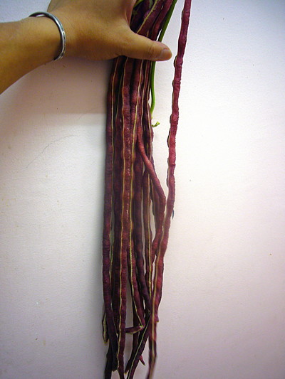 サマンサクロー