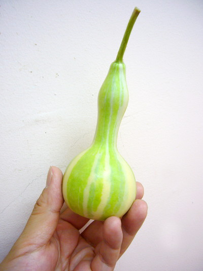 シマシマヒョウタン