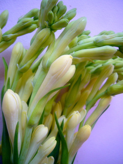 スーパーベビー