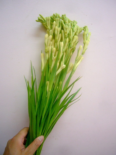 スーパーベビー