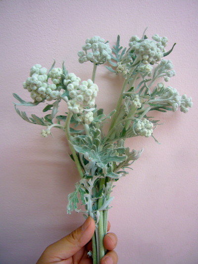 ダスティーミラー