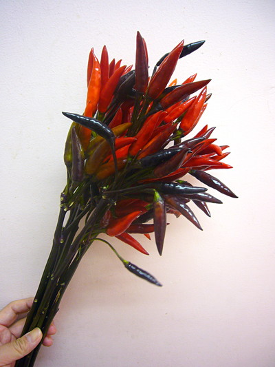 ブラックエース