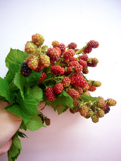 ブラックベリー