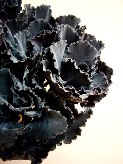 ブラックリーフ