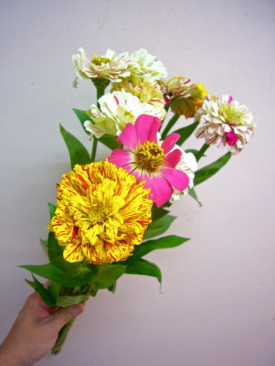 ペパーミントスティック