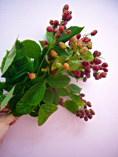 ロゼ（ブラックベリー）