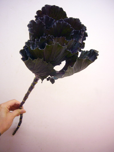 ブラックリーフ