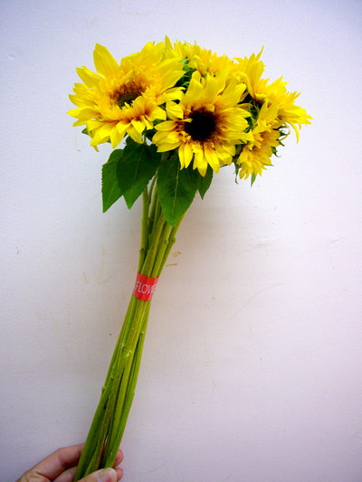 ゴッホのヒマワリ