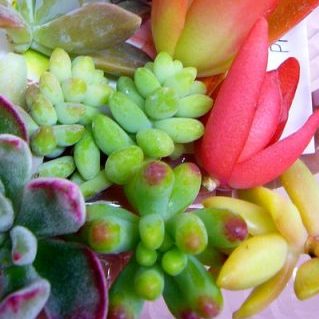 カット メ パッケージ