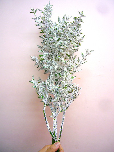 アクレアツス（吹き付け）