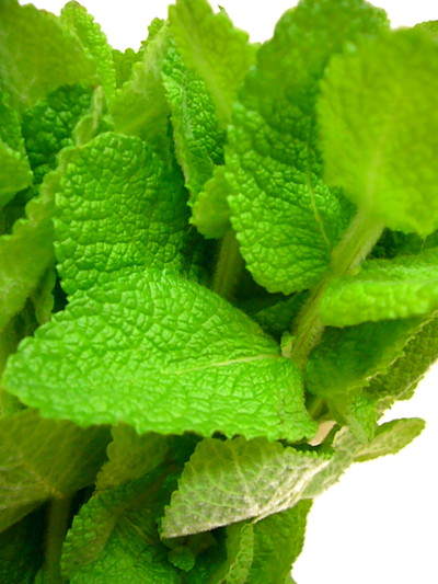 アップルミント