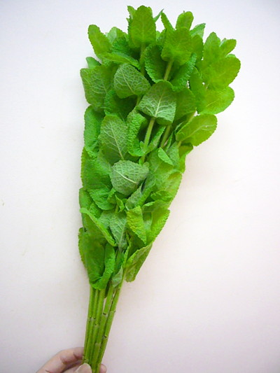 アップルミント