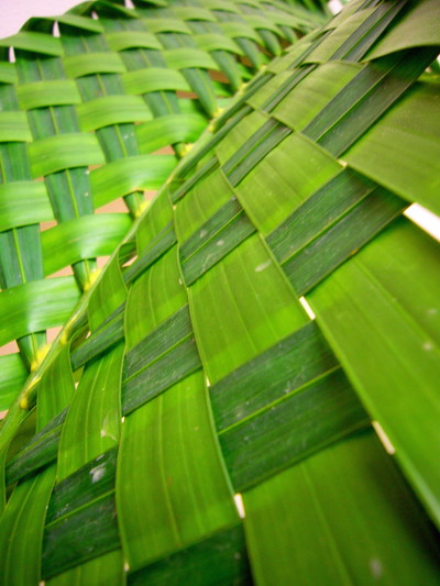 アレカヤシ（編み込み）