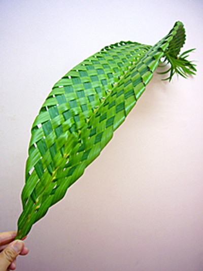 アレカヤシ（編み込み）