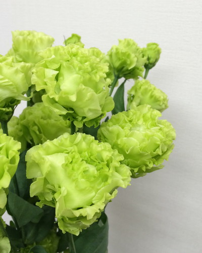 アンバーダブルモヒート