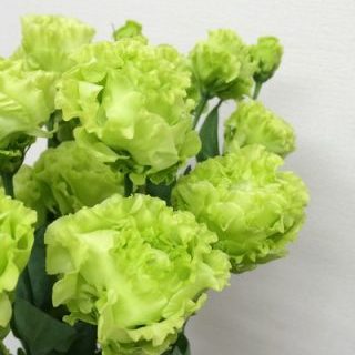 アンバーダブルモヒート