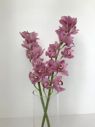 ファイヤーグロー