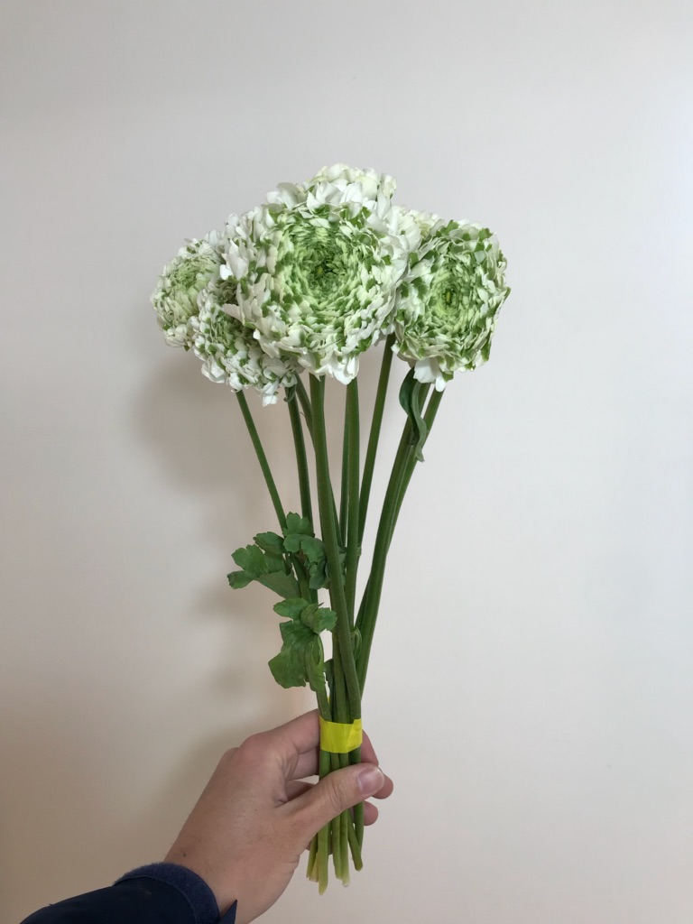 ポンポン・シレンテ