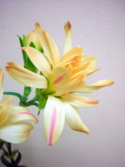 ミニティアラトパーズ