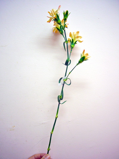 ミニティアラトパーズ