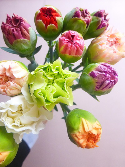 ツボミミックス