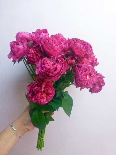 ナギサウェーブ