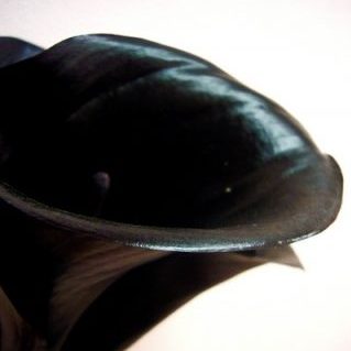 BKエクスポージャー