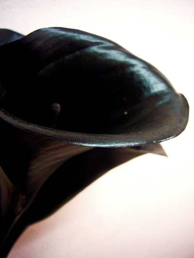 BKエクスポージャー