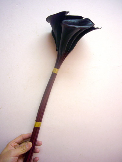 BKエクスポージャー