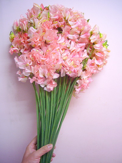 リップルピーチ