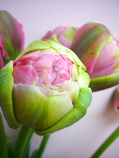 ウェディングギフト