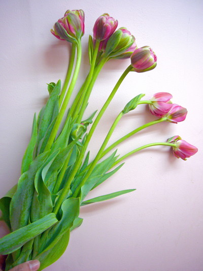 ウェディングギフト