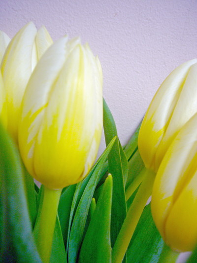 ハチミツミルク